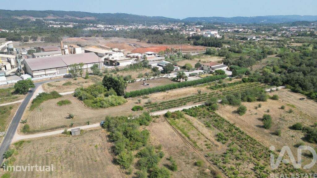 Terreno Agrícola em Cumeeira - Grande imagem: 5/23