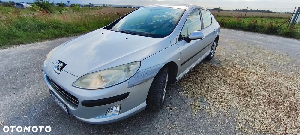 Peugeot 407 - 21