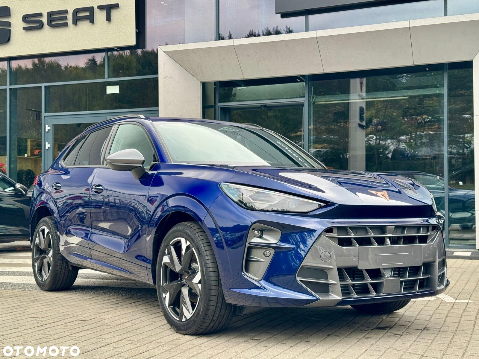 Cupra Terramar 1.5 eTSI mHEV DSG - 5