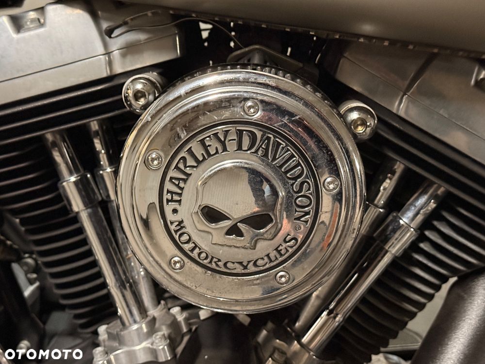 Harley-Davidson Softail Cross Bones - 19