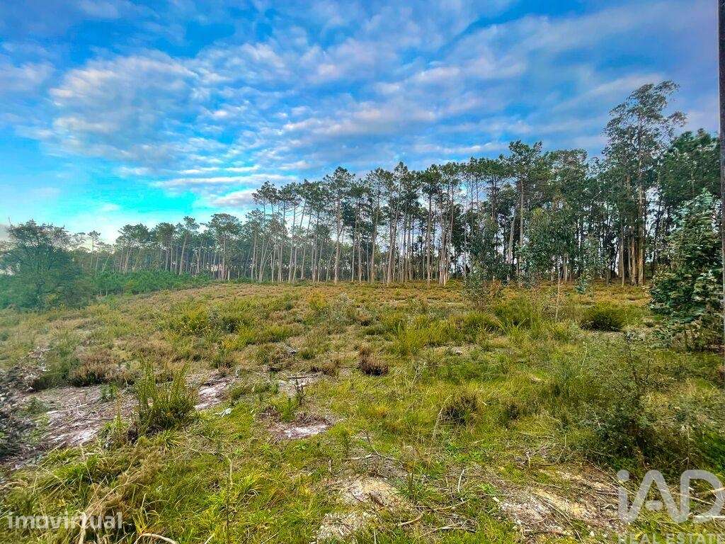 Terreno para construção em Monte Redondo e Carreira de 880,00 m2 - Grande imagem: 2/8