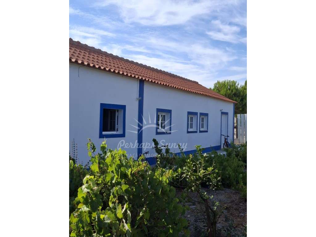 Quinta em Melides - Um Refúgio de Campo entre o Mar e a Natureza - Grande imagem: 2/22