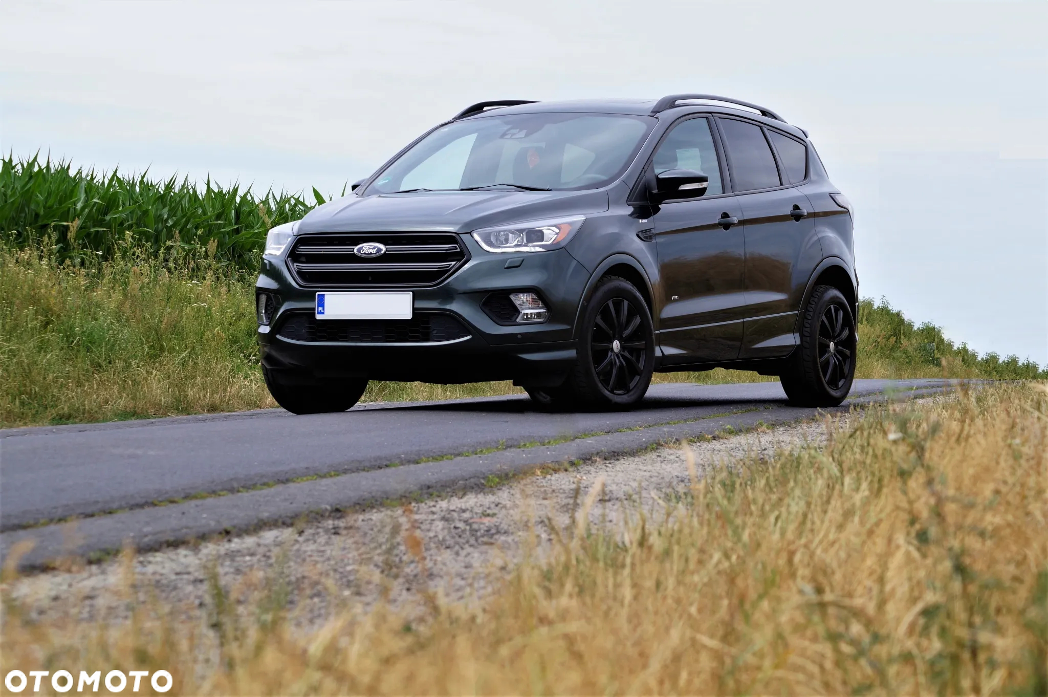 Ford Kuga - 2