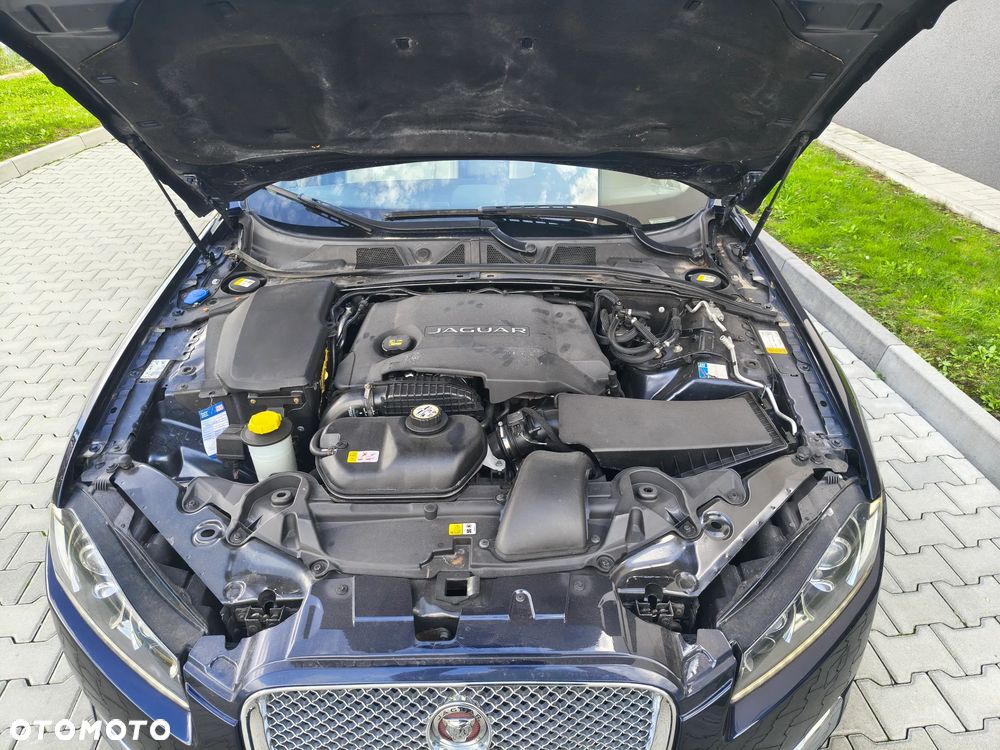 Jaguar XF 3.0 V6 D Luxury - 12
