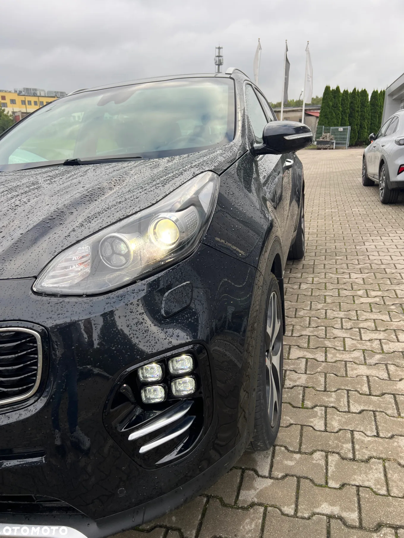 Kia Sportage 1.6 T-GDI GT Line 4WD DCT - 12