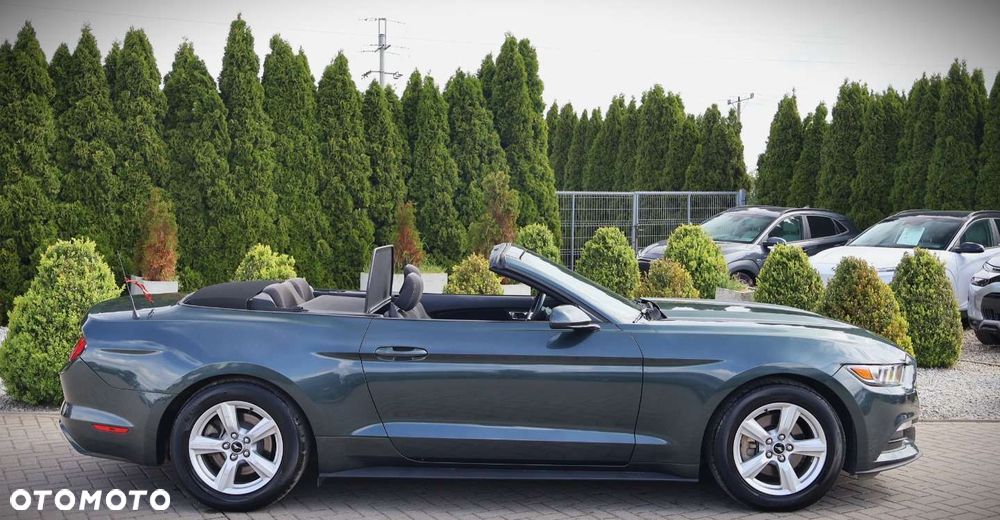 Ford Mustang - 15
