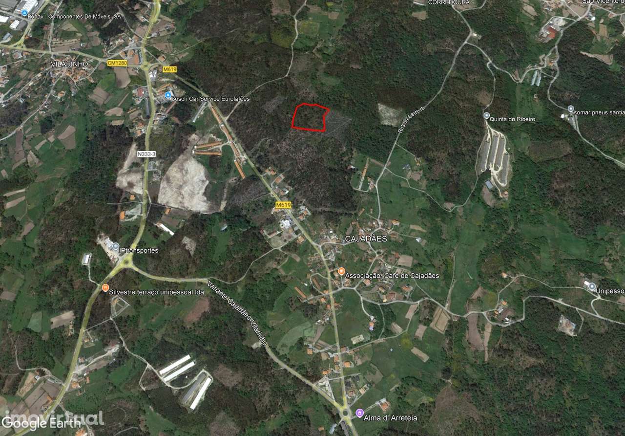 Terreno/Pinhal – Oliveira de Frades - Grande imagem: 2/5