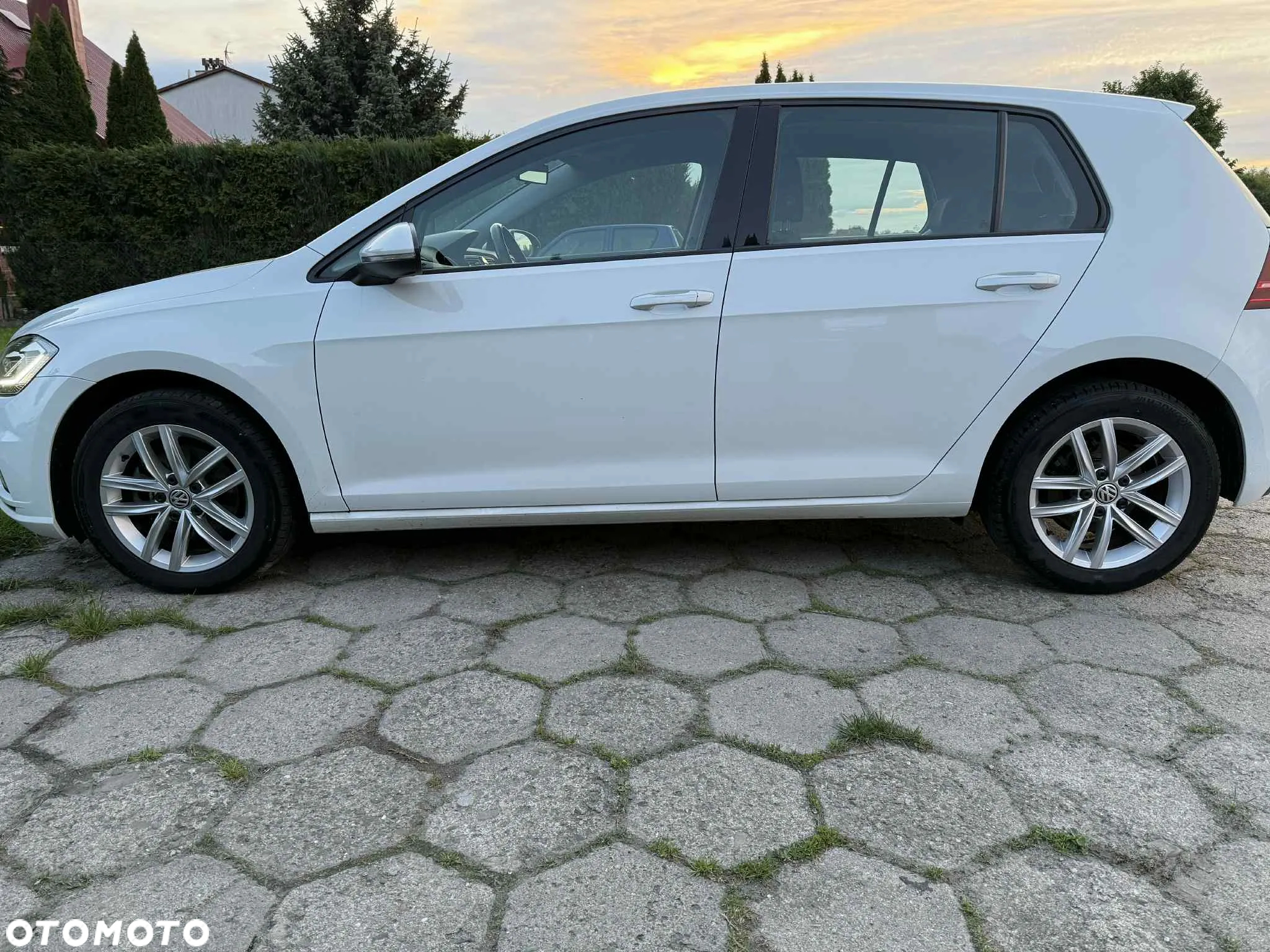 Volkswagen Golf 1.6 TDI (BlueMotion Technology) Comfortline - 8