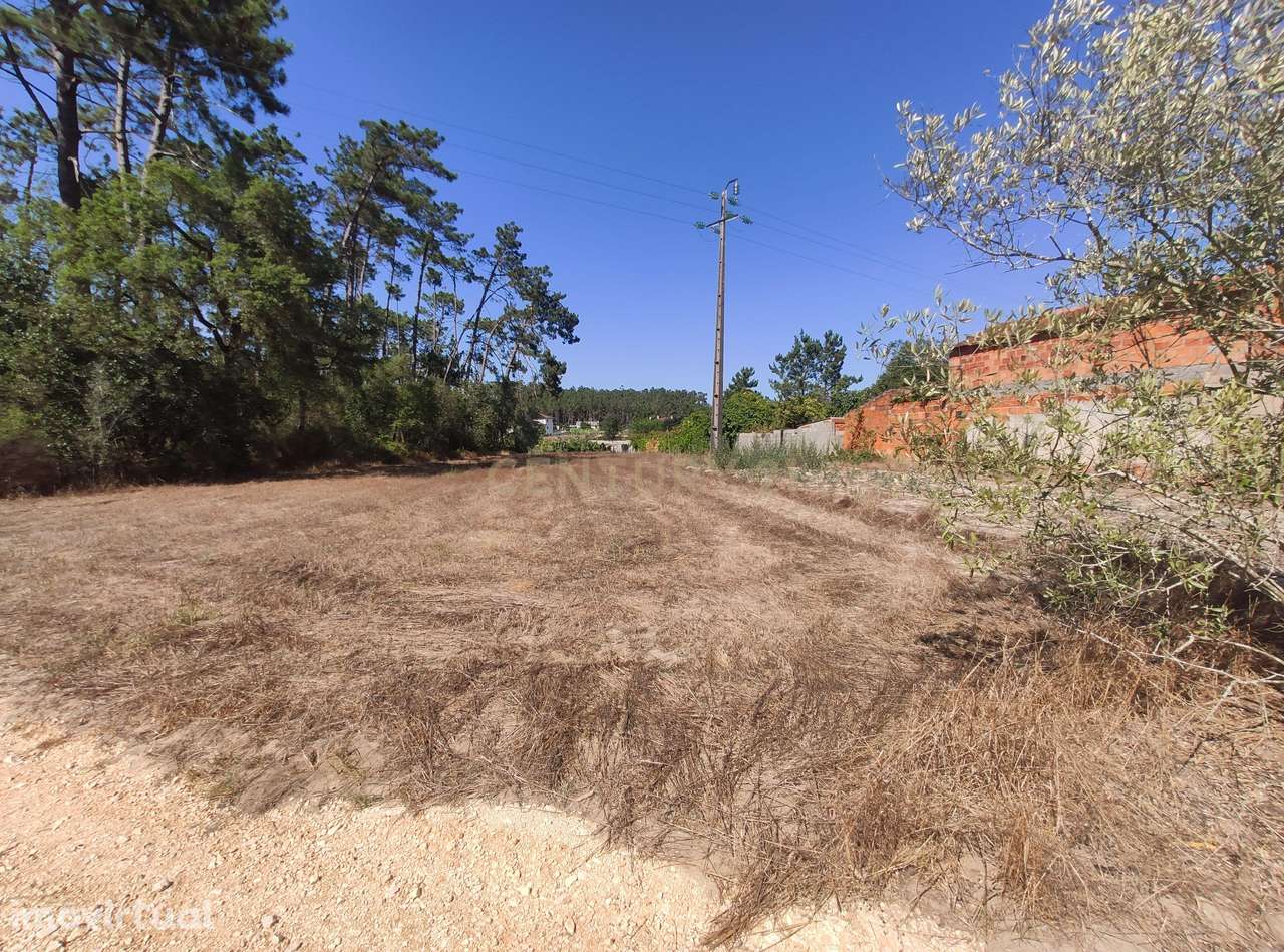 Terreno para construção - Grande imagem: 5/5