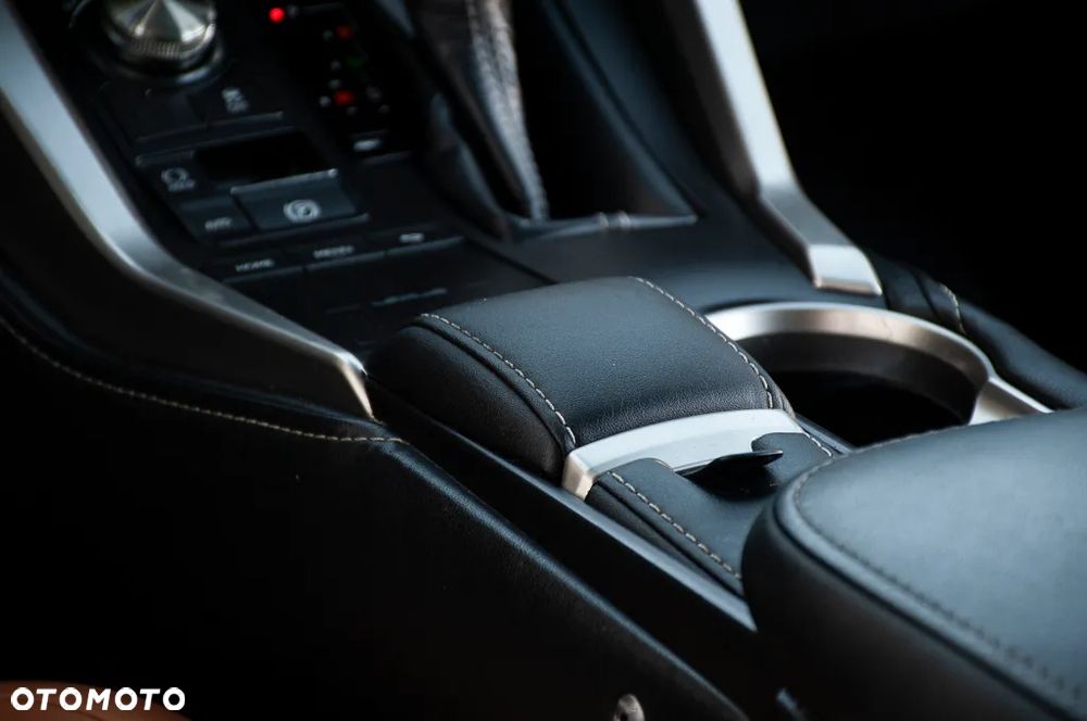 Lexus NX 300 AWD - 37