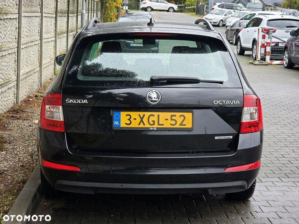 Skoda Octavia 1.6 TDI Greenline - 7
