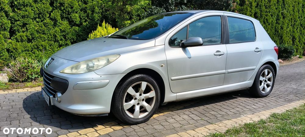 Peugeot 307 1.6 Oxygo - 15
