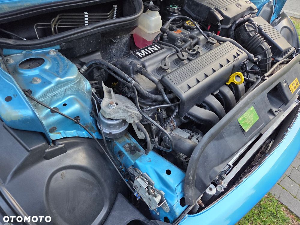 MINI Cooper chili - 22