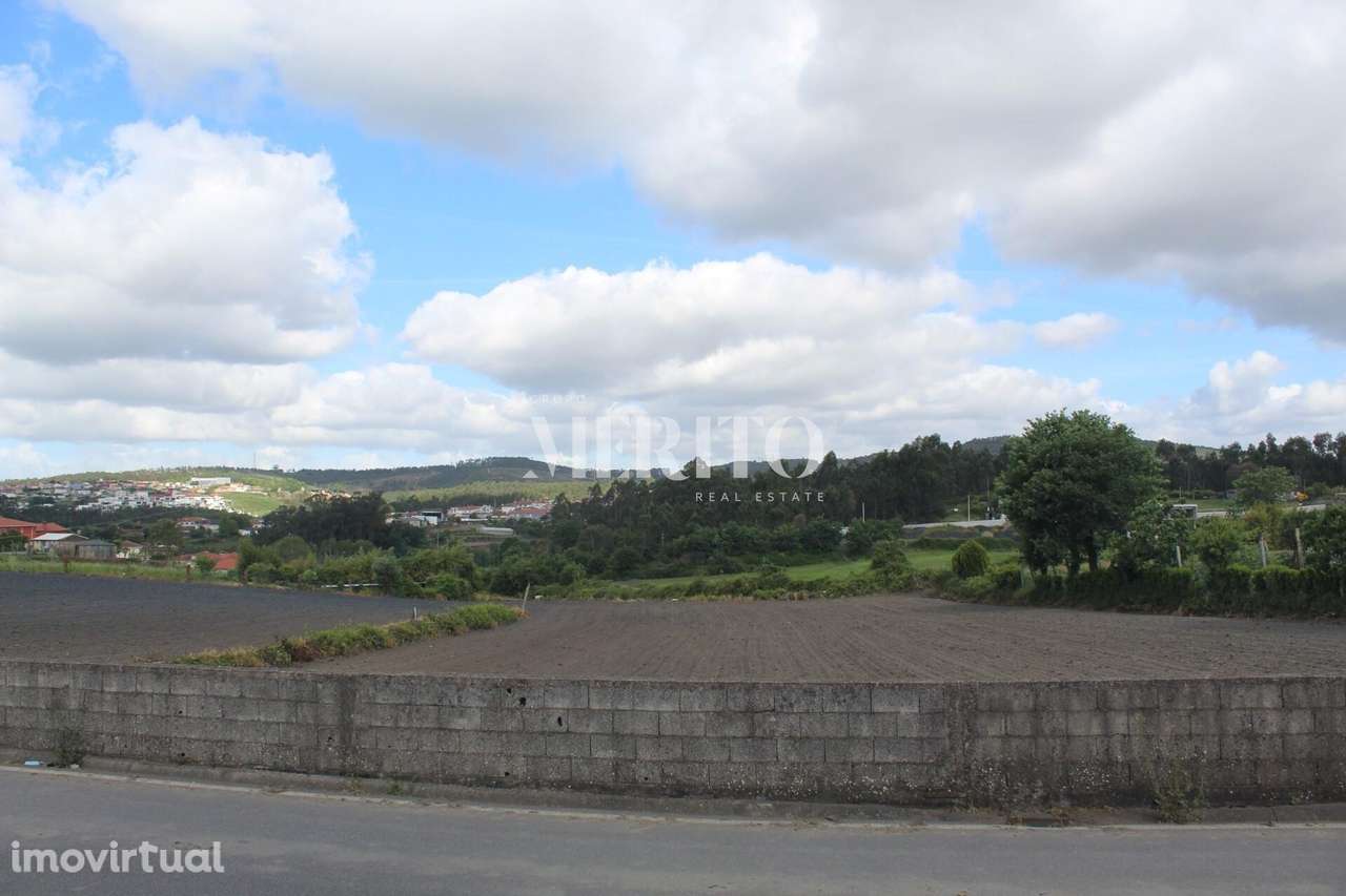 Venda Terreno 7000m2 - Ribeirão, Vila Nova de Famalicão - Grande imagem: 3/21
