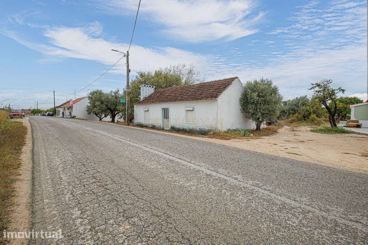 Moradia C/ Terreno Misto de Olival 4.400m2 - Grande imagem: 2/18