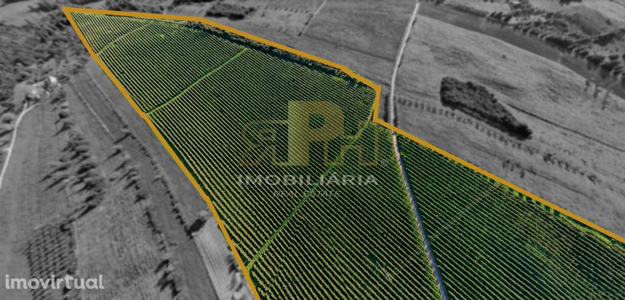 Terreno Rústico  Venda em Almoster,Santarém - Grande imagem: 2/7