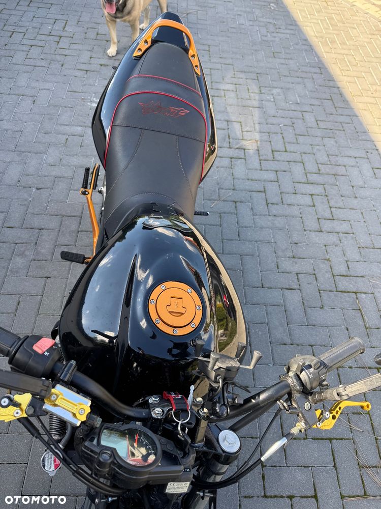 Honda Hornet - 9