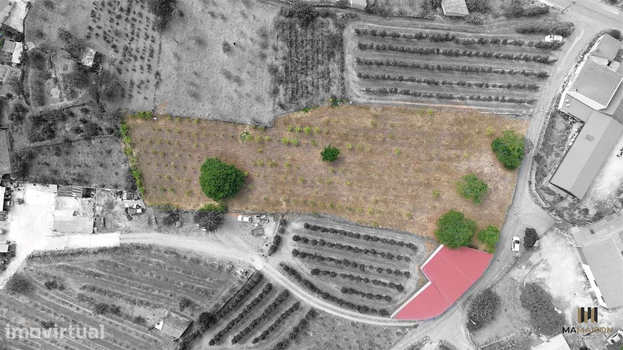 Terreno P/ Construção | 3000m2 | Cimbres - Grande imagem: 3/7