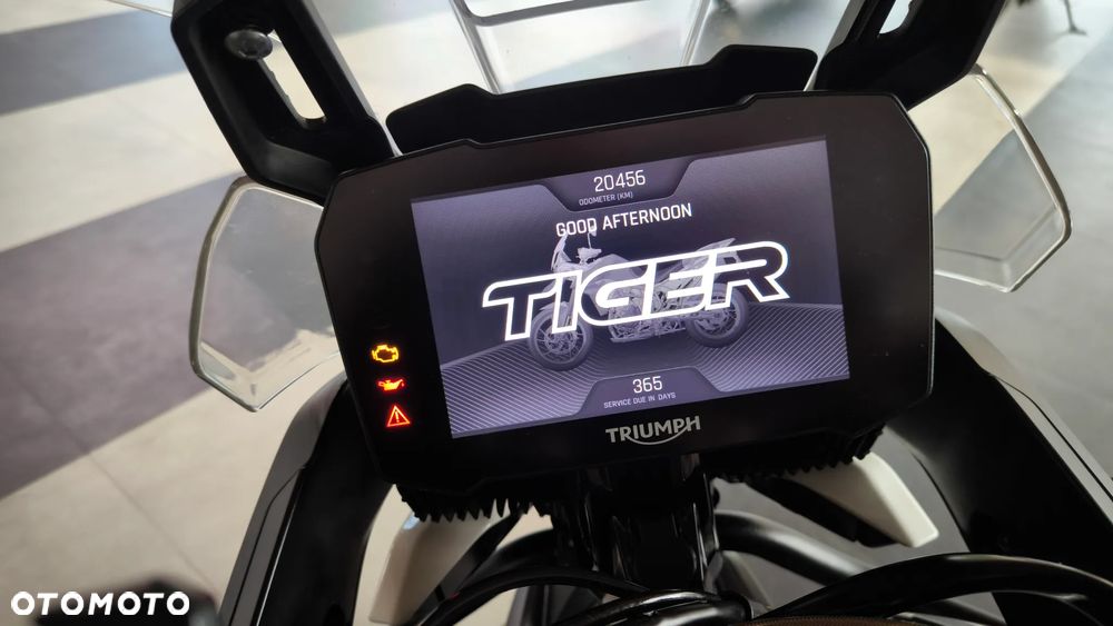 Triumph Tiger - 9