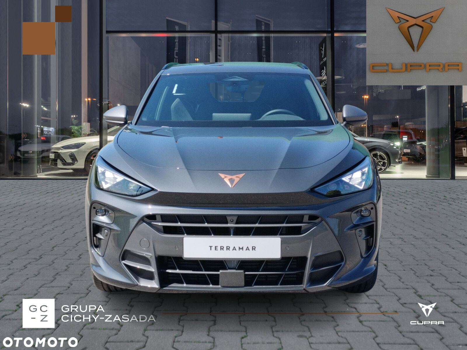 Cupra Terramar 2.0 TSI 4Drive DSG - 8