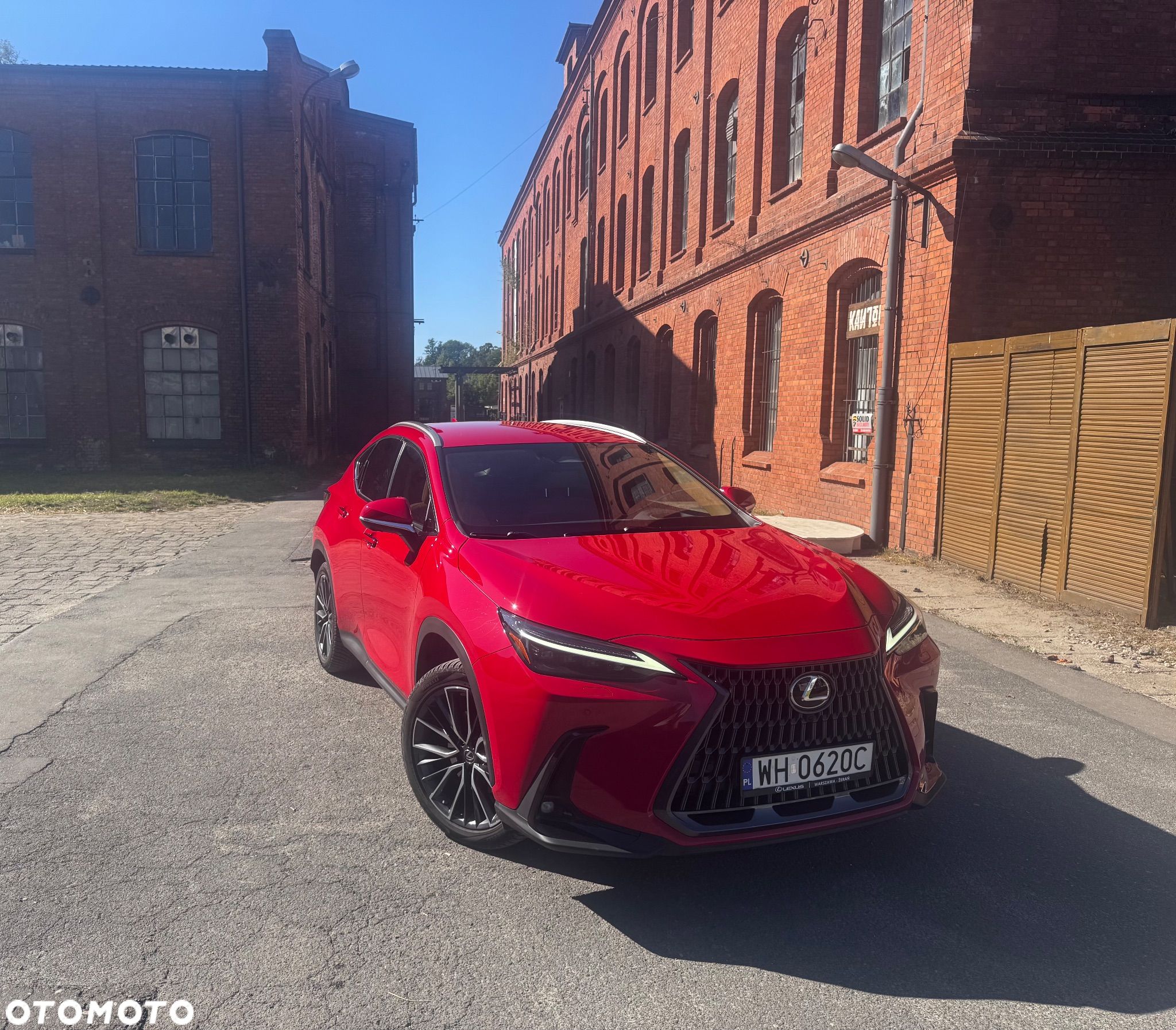 Lexus NX 350h Omotenashi AWD - 1