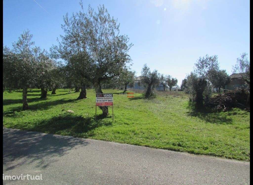 Terreno 800m2 - Grande imagem: 5/6