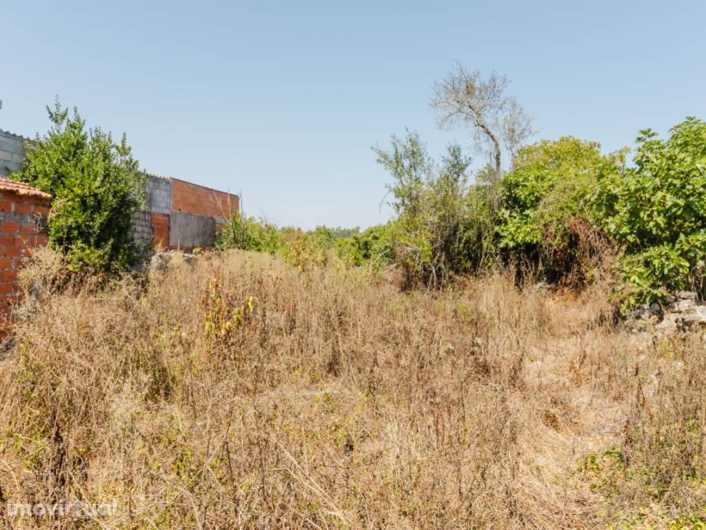 Moradia T3 por recuperar - Grande imagem: 5/13