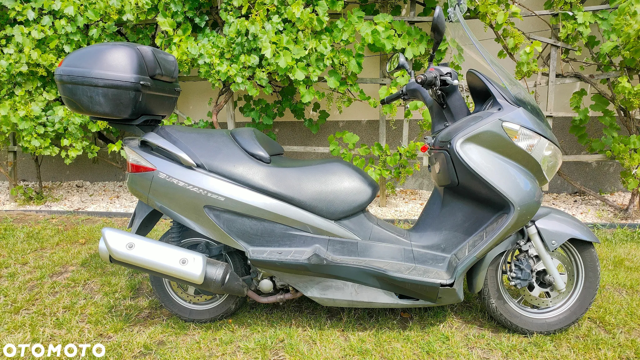 Suzuki Burgman - 5