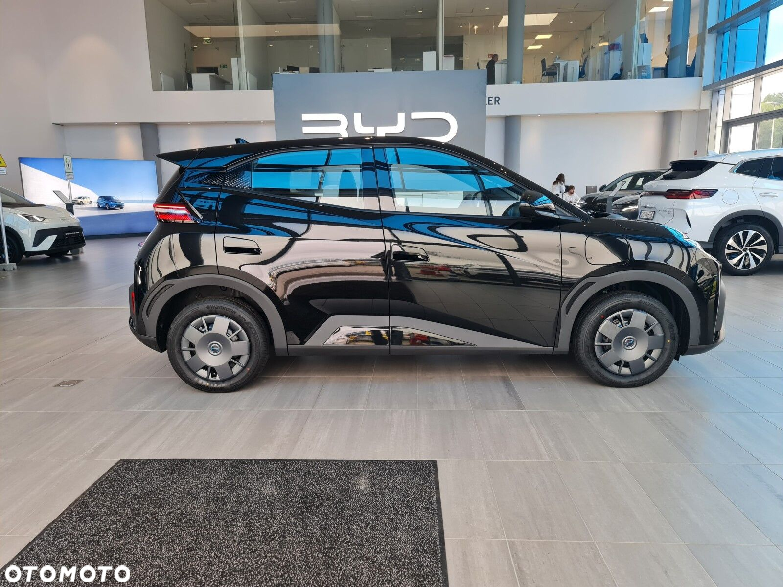 BYD Dolphin Surf - 9