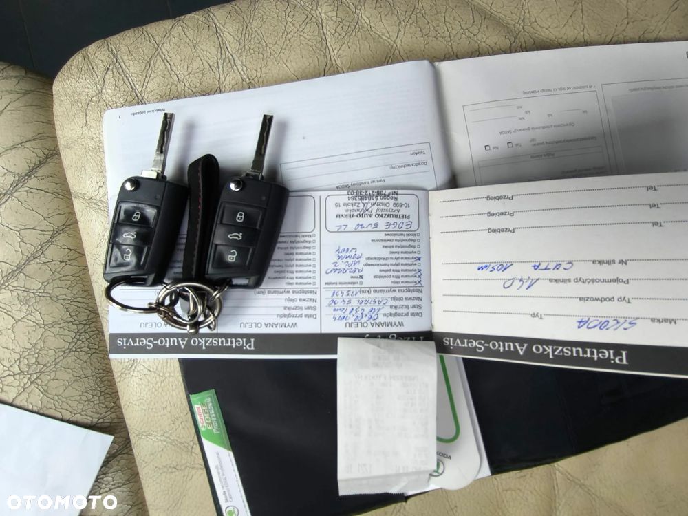 Skoda Fabia 1.4 TDI Ambition - 19