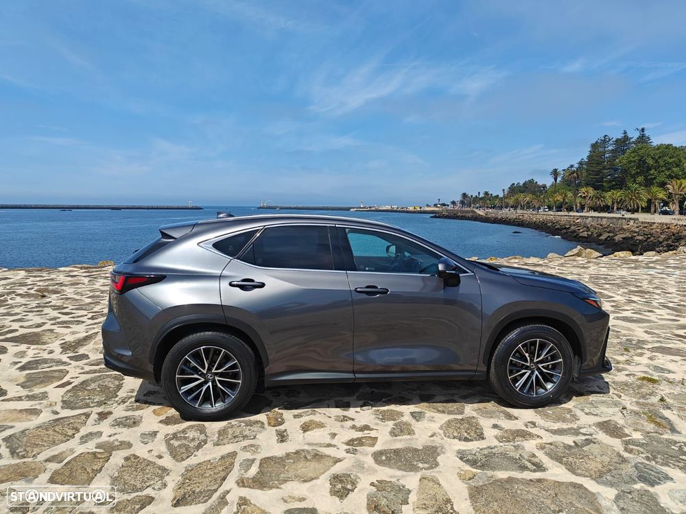 Lexus NX 350h Executive Plus - 10