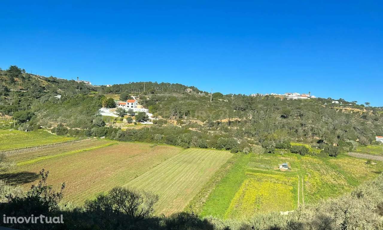 Terreno Rústico no Lameirão em Malpica do Tejo, Castelo Branco - Grande imagem: 2/5