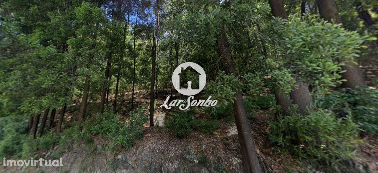 Terreno com 8.000m2 em Santo Tirso - Grande imagem: 4/6