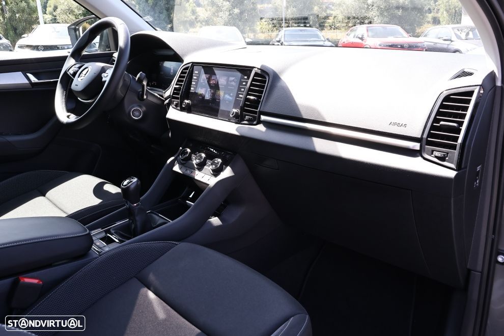 Skoda Karoq 1.0 TSI - 12