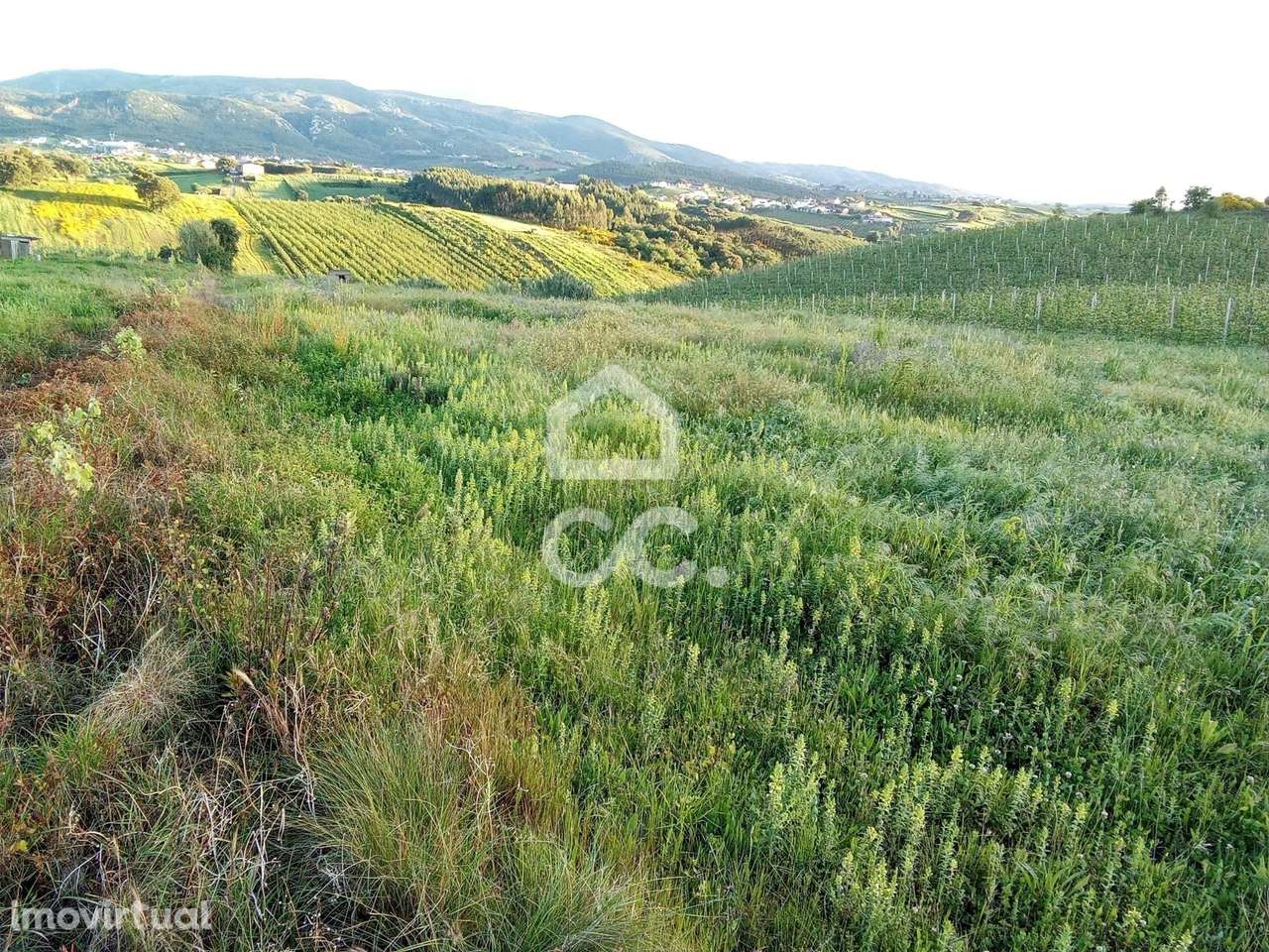 Terreno rústico para venda, em Cadaval. - Grande imagem: 3/8