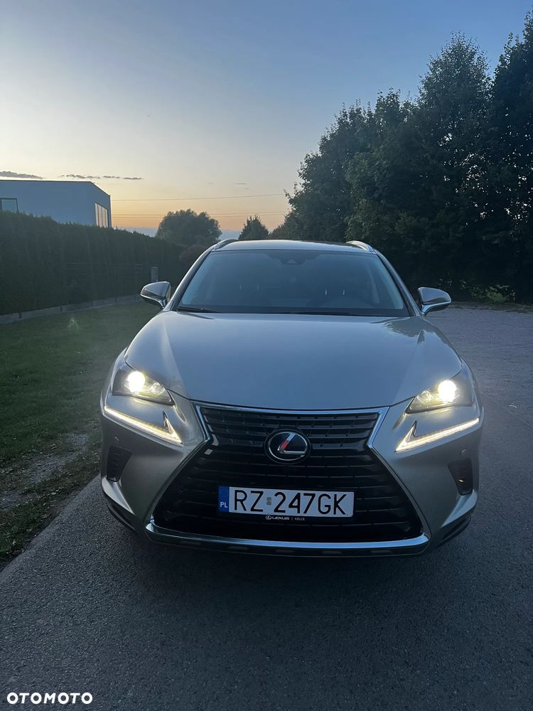 Lexus NX 300h Optimum AWD - 10