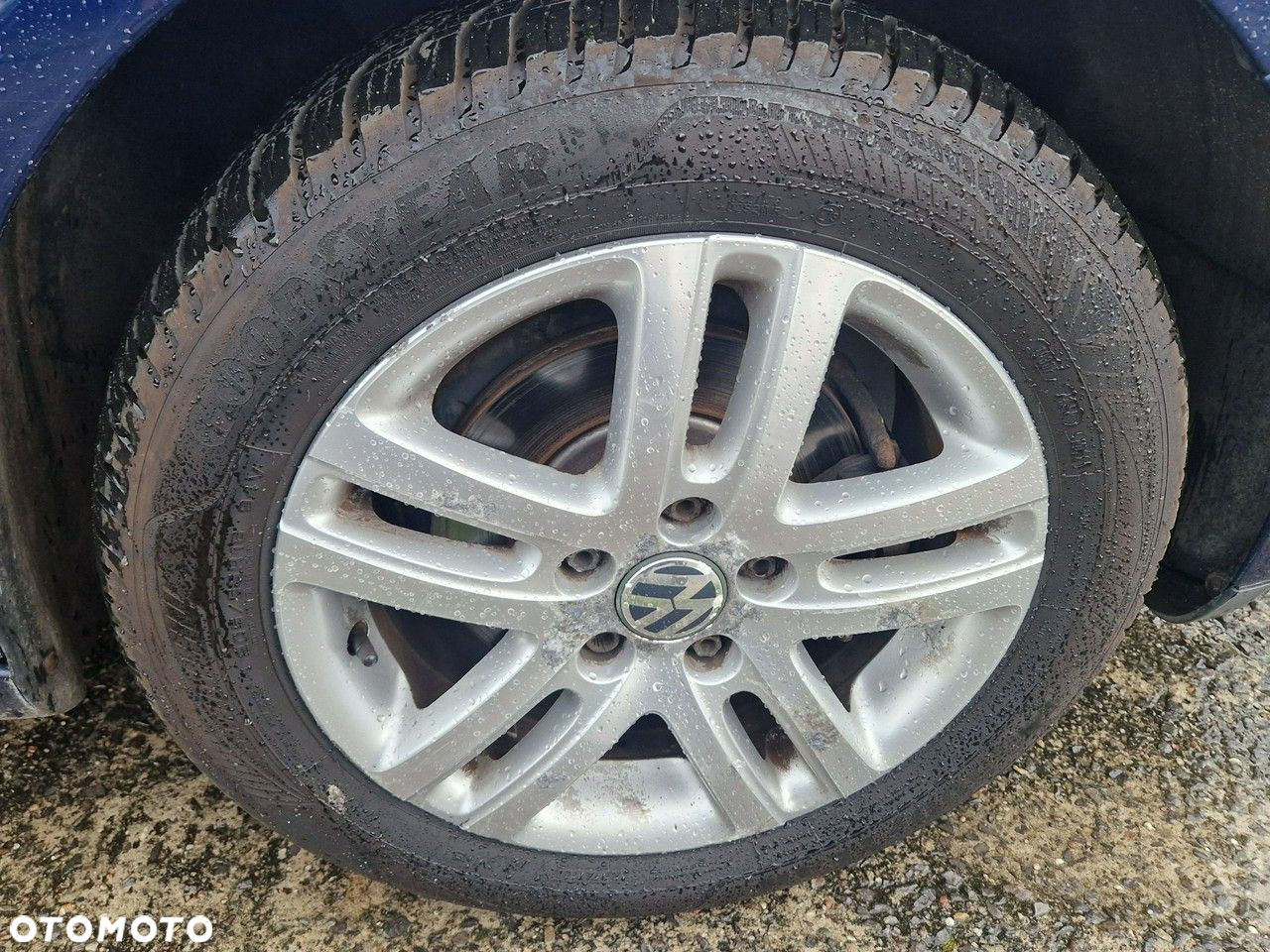 Volkswagen Golf - 20