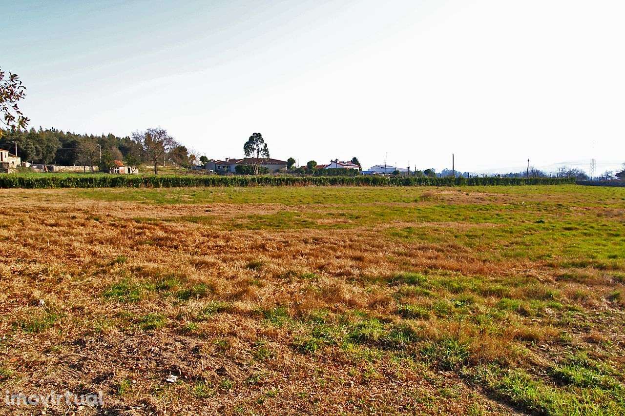 Terreno na Lama - Grande imagem: 5/10