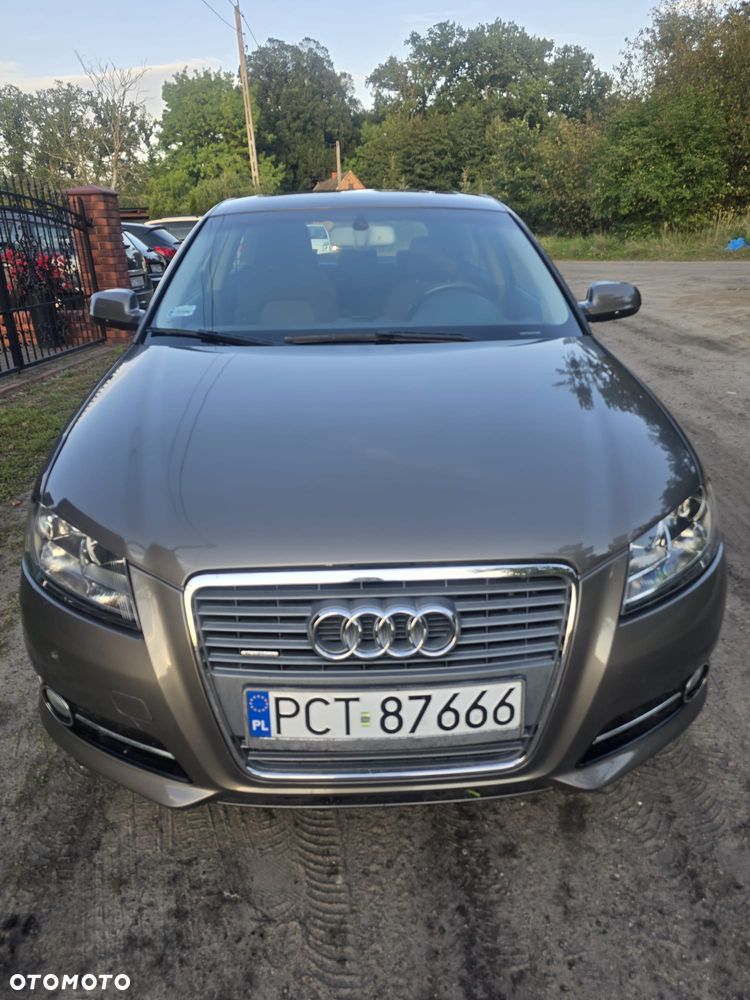 Audi A3 3-drzwiowe 2.0 TDI DPF Quattro Ambition - 13