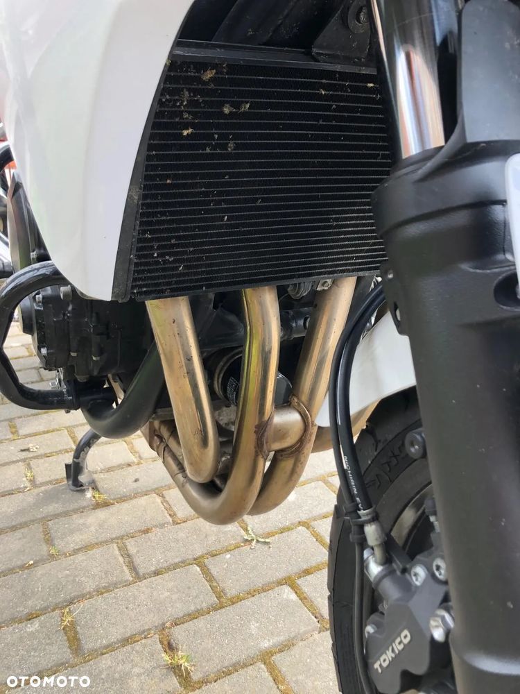 Suzuki Bandit - 7