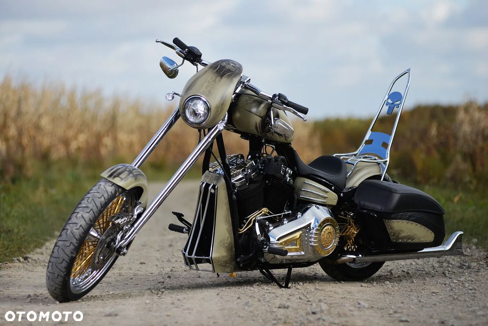 Harley-Davidson Softail - 2