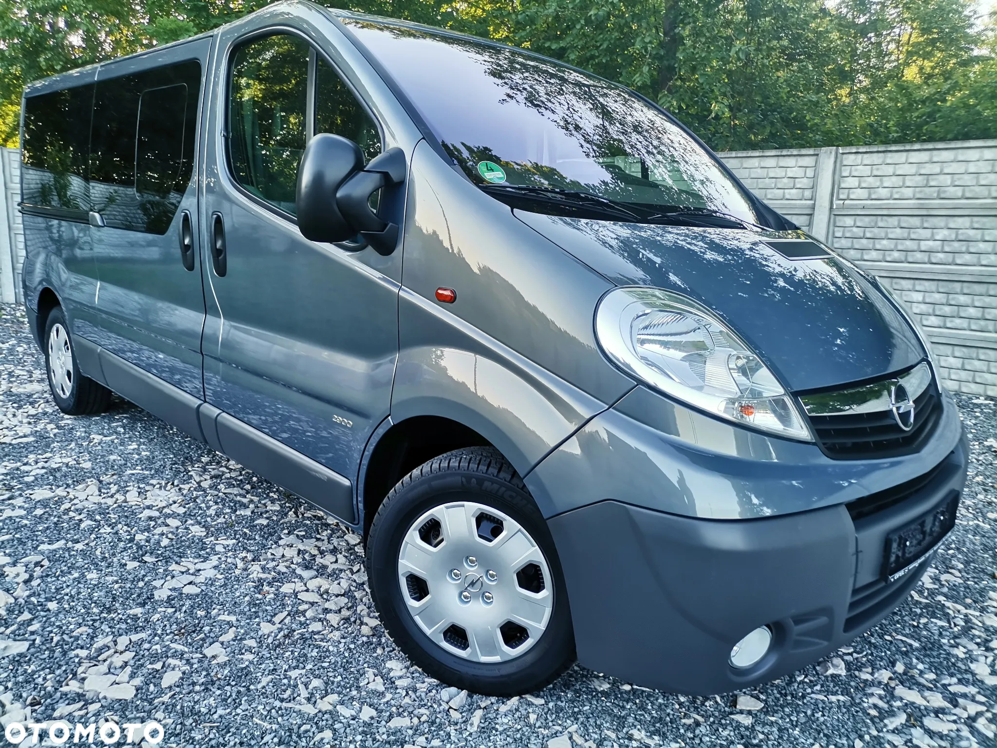 Opel Vivaro 2.0 CDTI L2H1 - 19