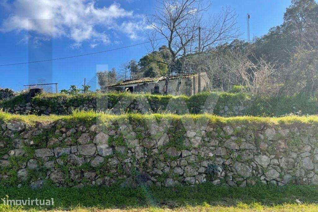 Monchique | Ruína com terreno de 5.380 m2, socalcos em pedra e minas d - Grande imagem: 4/22