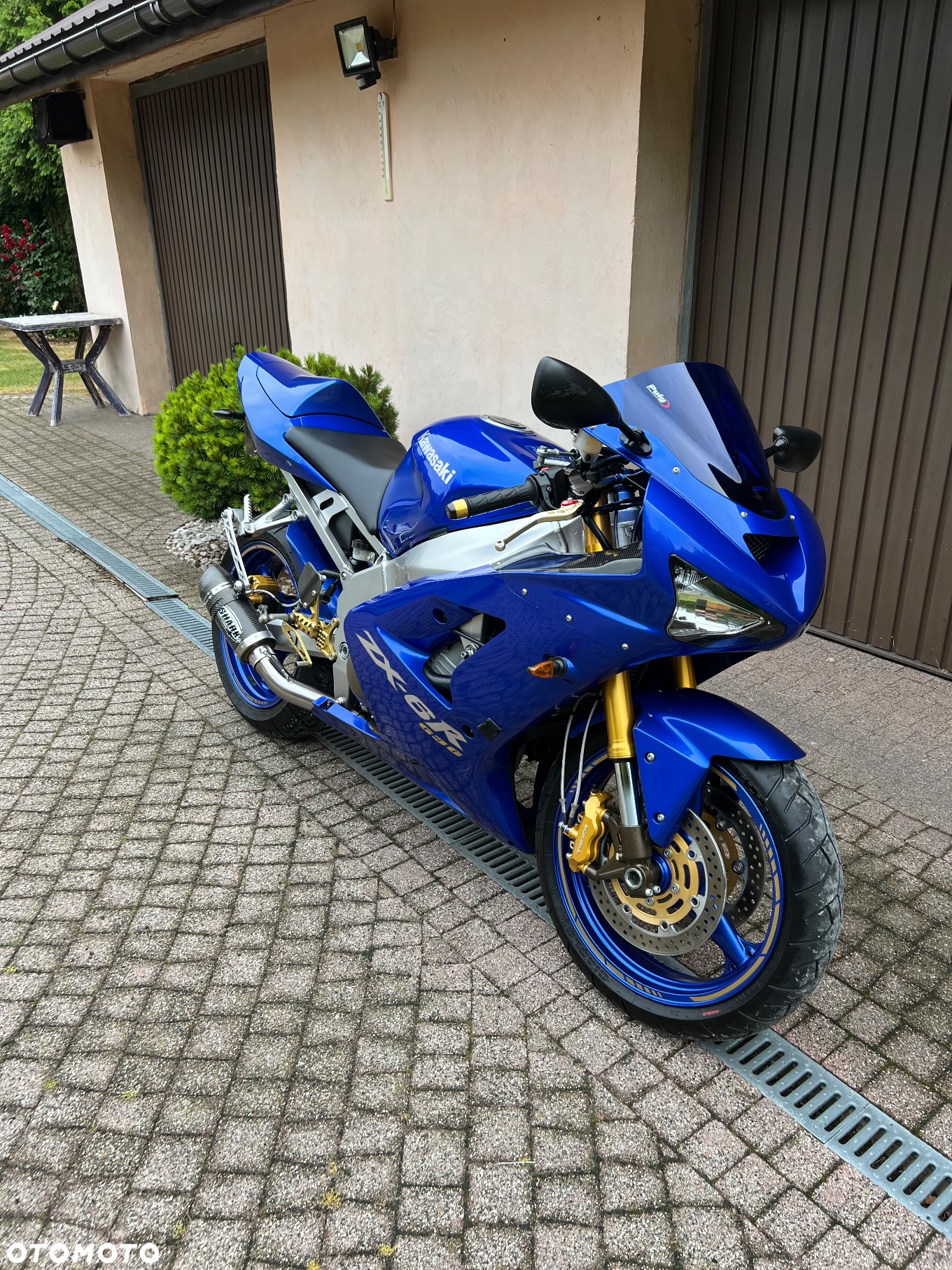 Kawasaki Ninja - 13