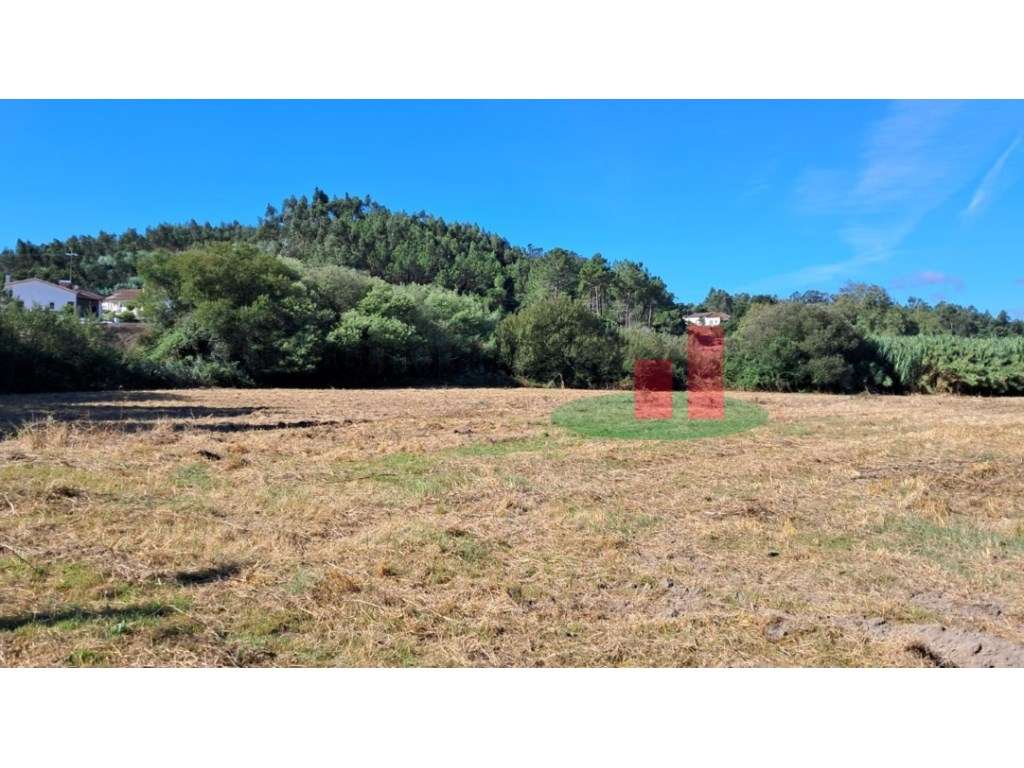 Terreno Misto Asseiceira***RIOMAGIC*** - Grande imagem: 2/4