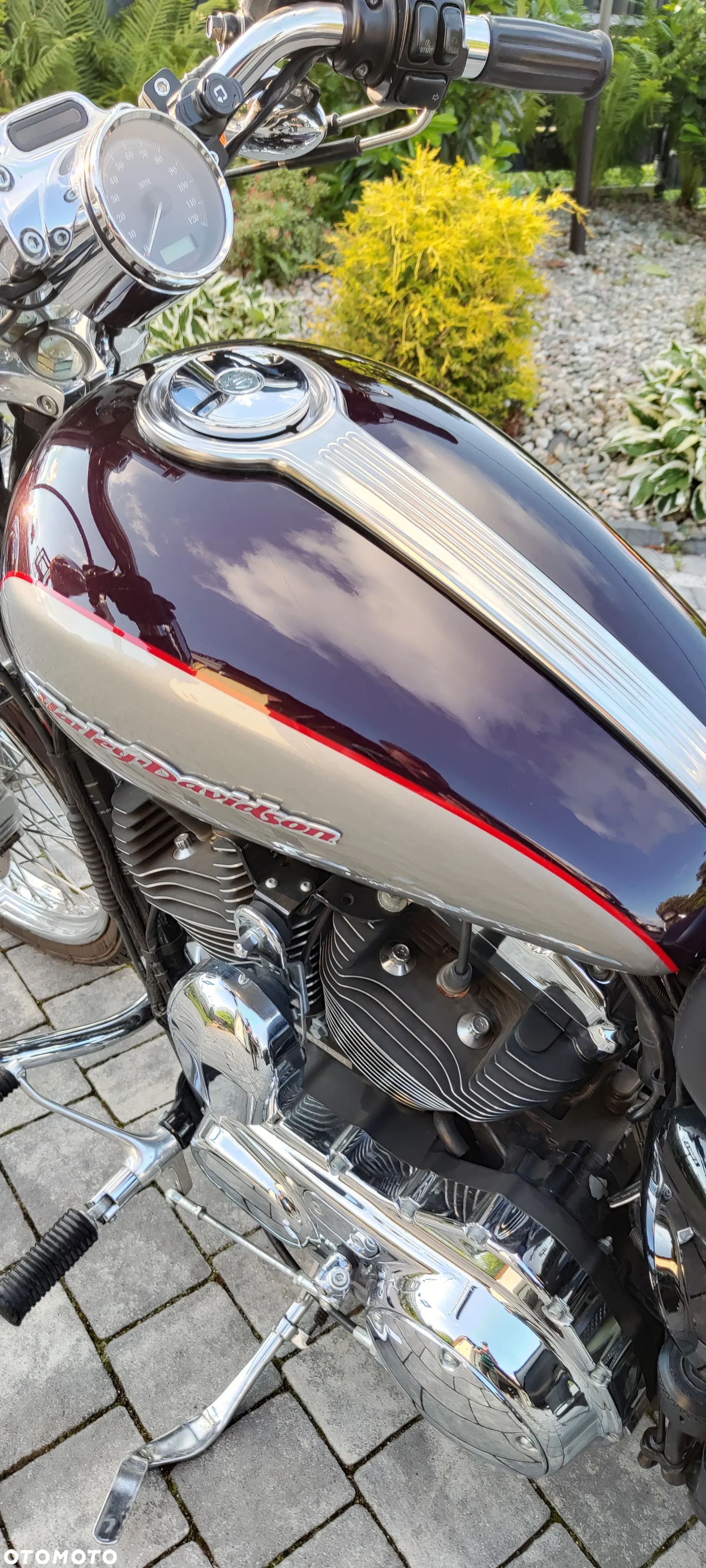 Harley-Davidson Sportster Custom 1200C - 3