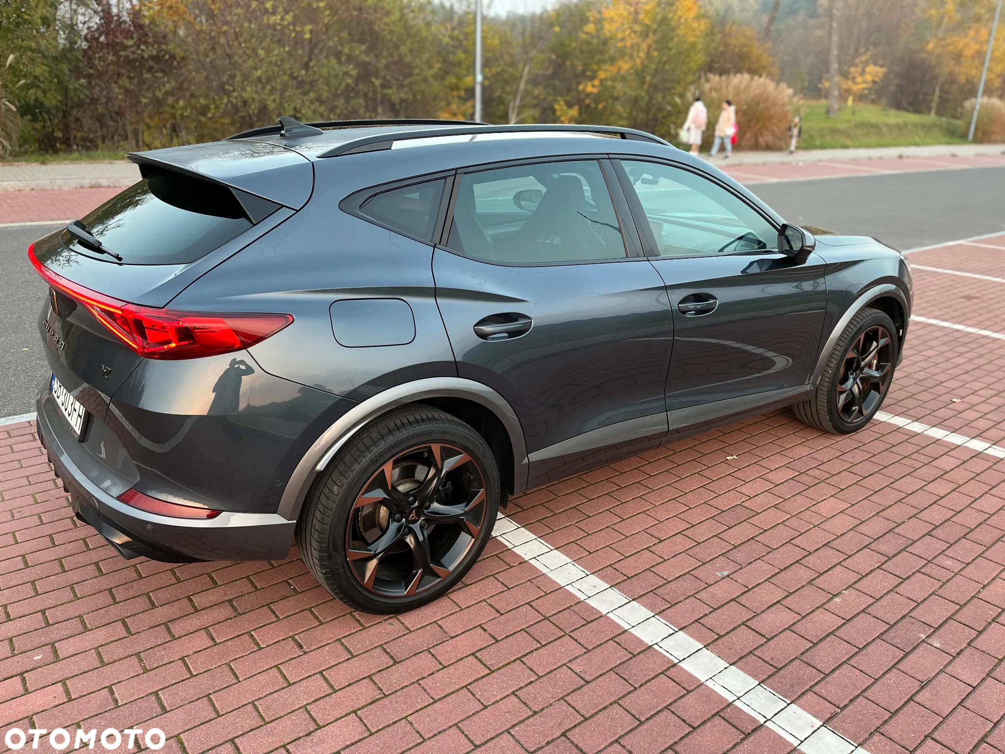 Cupra Formentor 2.0 TSI 4Drive VZ DSG - 2