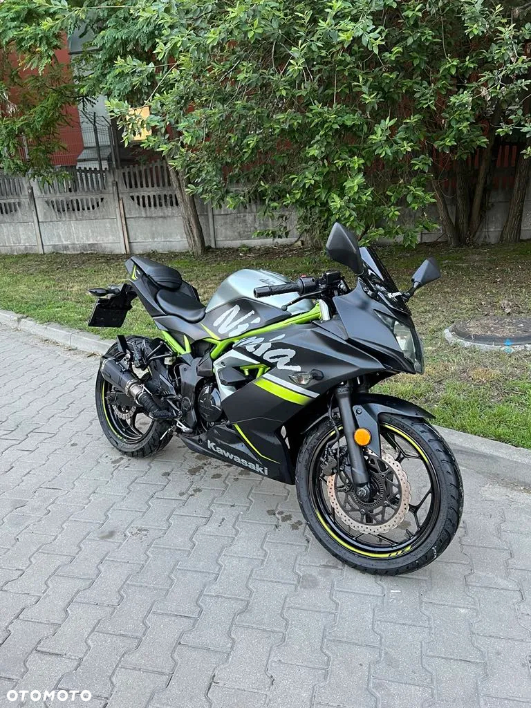 Kawasaki Ninja - 2