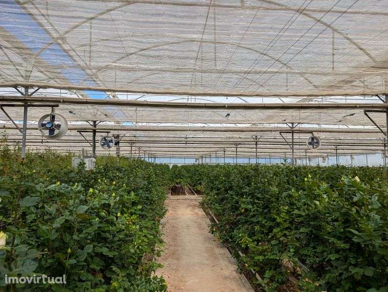 Arrenda-se duas estufas - Grande imagem: 3/7