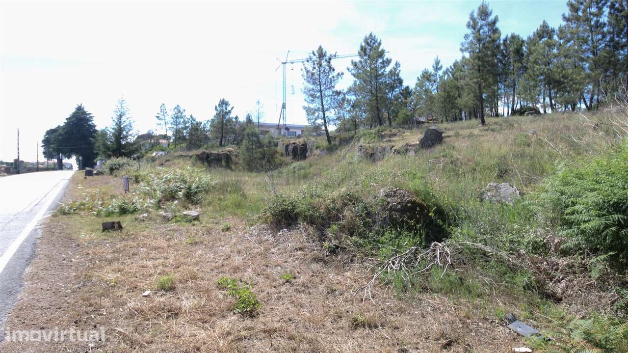 Terreno para Construção - Mangualde - Grande imagem: 2/4